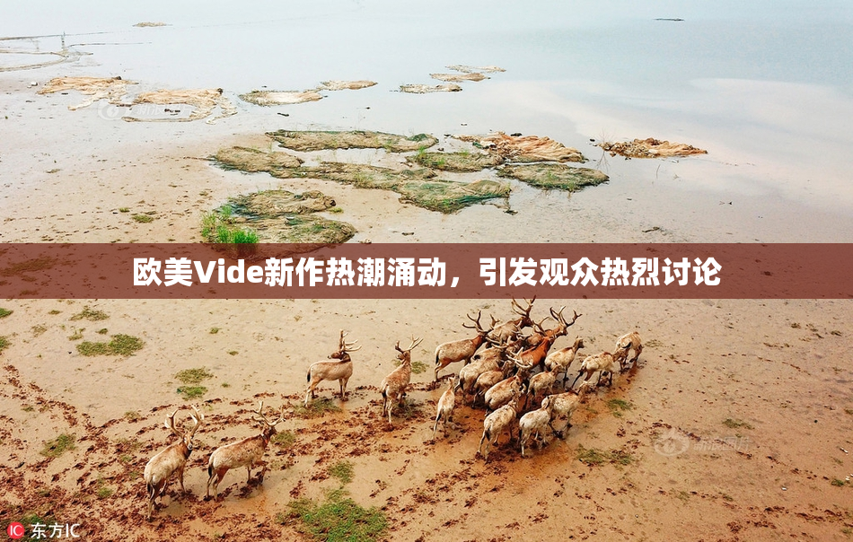 欧美Vide新作热潮涌动，引发观众热烈讨论
