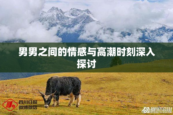 男男之间的情感与高潮时刻深入探讨