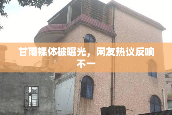 甘雨裸体被曝光，网友热议反响不一