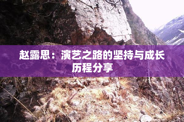 赵露思：演艺之路的坚持与成长历程分享