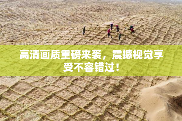高清画质重磅来袭，震撼视觉享受不容错过！