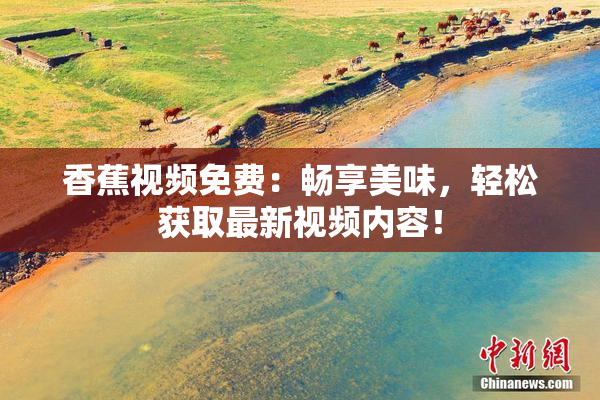 香蕉视频免费：畅享美味，轻松获取最新视频内容！