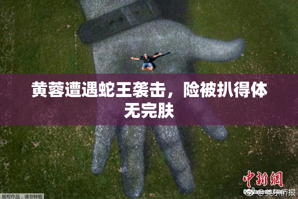 黄蓉遭遇蛇王袭击，险被扒得体无完肤