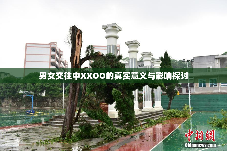 男女交往中XXOO的真实意义与影响探讨
