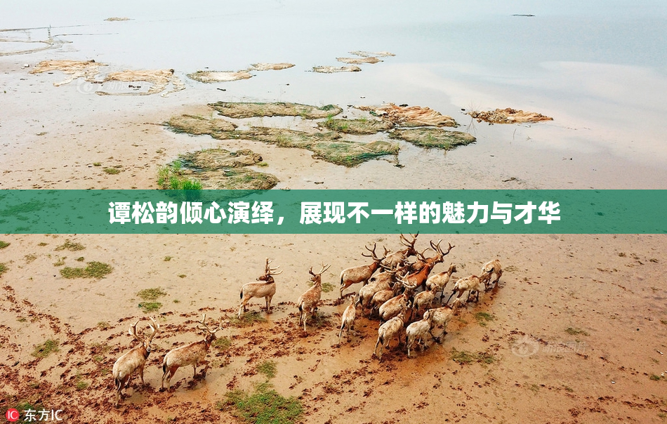 谭松韵倾心演绎，展现不一样的魅力与才华