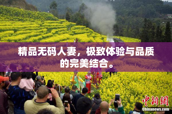 精品无码人妻，极致体验与品质的完美结合。