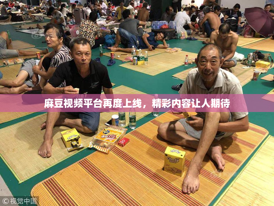 麻豆视频平台再度上线，精彩内容让人期待