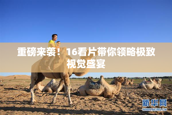 重磅来袭！16看片带你领略极致视觉盛宴
