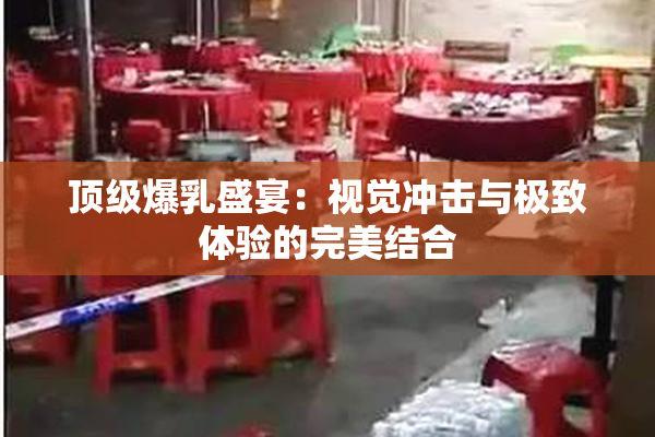 顶级爆乳盛宴：视觉冲击与极致体验的完美结合