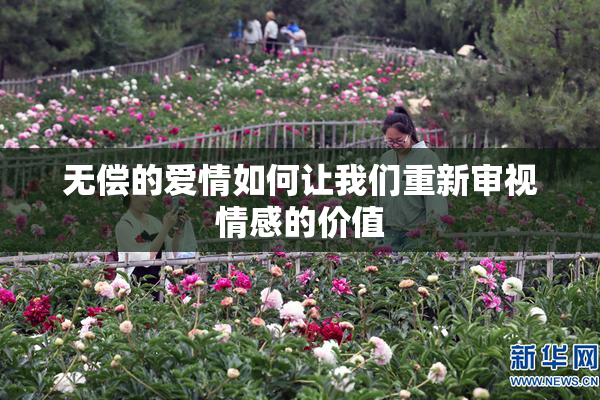 无偿的爱情如何让我们重新审视情感的价值