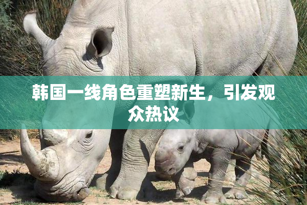 韩国一线角色重塑新生，引发观众热议