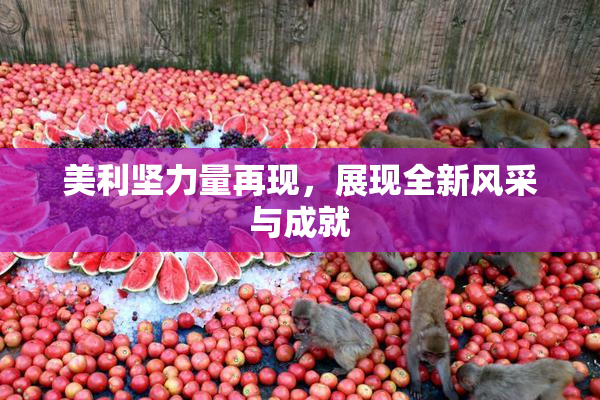 美利坚力量再现，展现全新风采与成就