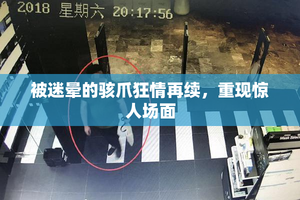 被迷晕的骇爪狂情再续，重现惊人场面