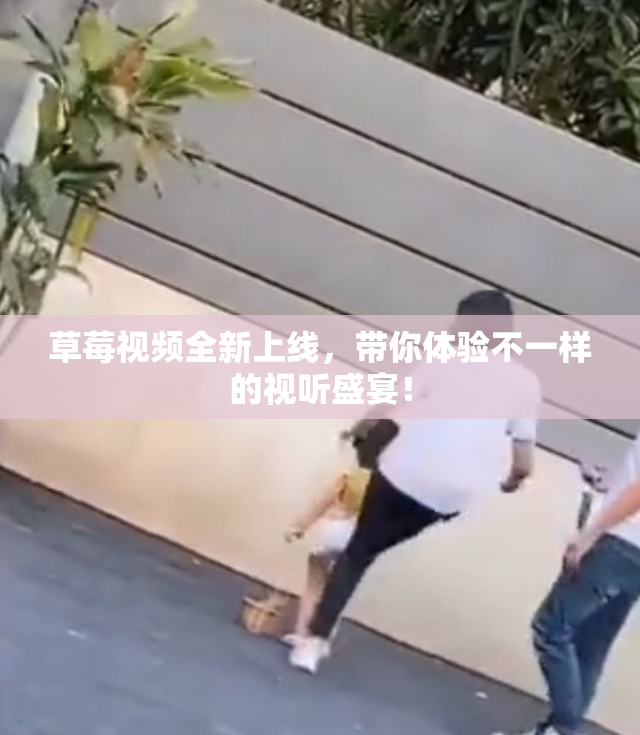 草莓视频全新上线，带你体验不一样的视听盛宴！
