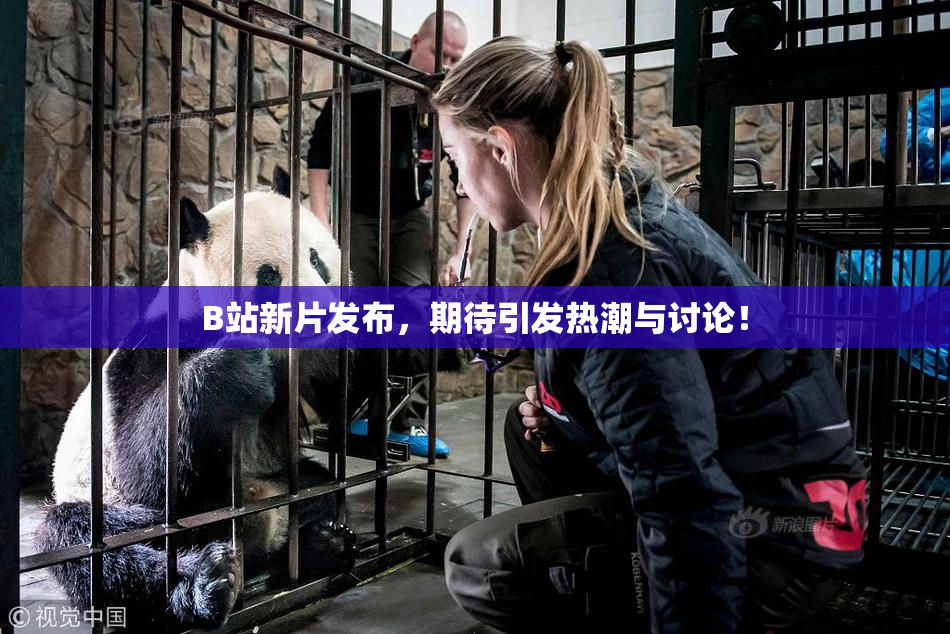 B站新片发布，期待引发热潮与讨论！