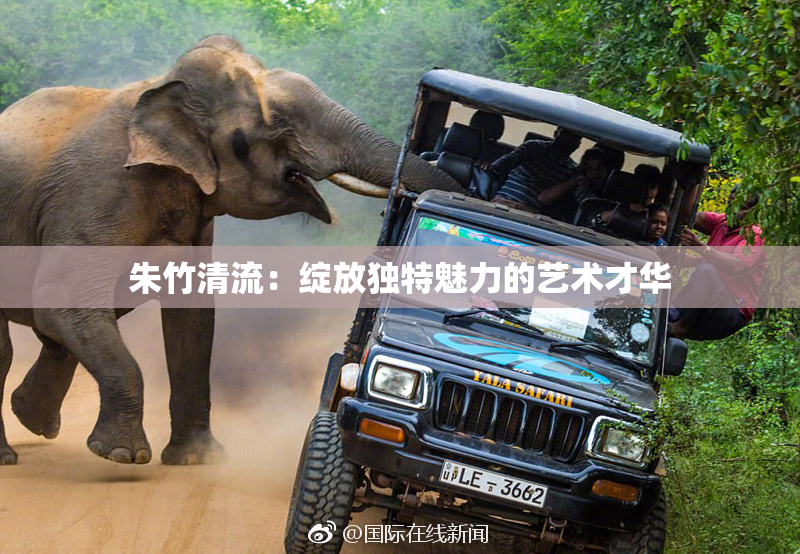 朱竹清流：绽放独特魅力的艺术才华