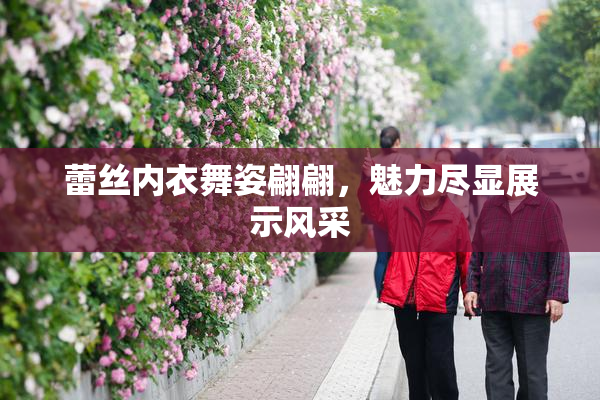 蕾丝内衣舞姿翩翩，魅力尽显展示风采