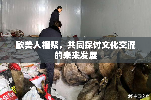 欧美人相聚，共同探讨文化交流的未来发展