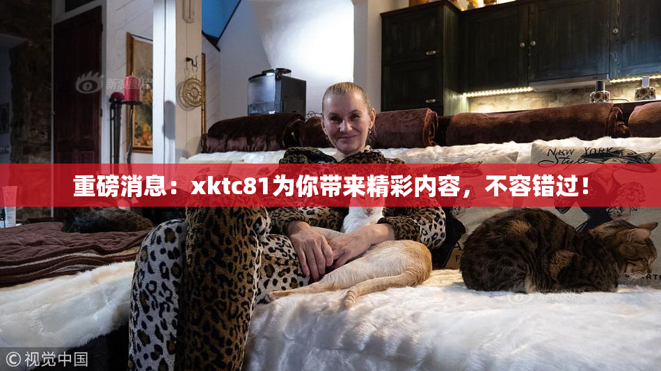 重磅消息：xktc81为你带来精彩内容，不容错过！