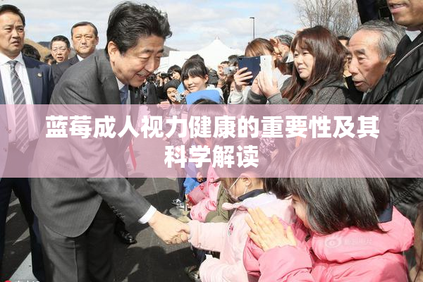 蓝莓成人视力健康的重要性及其科学解读