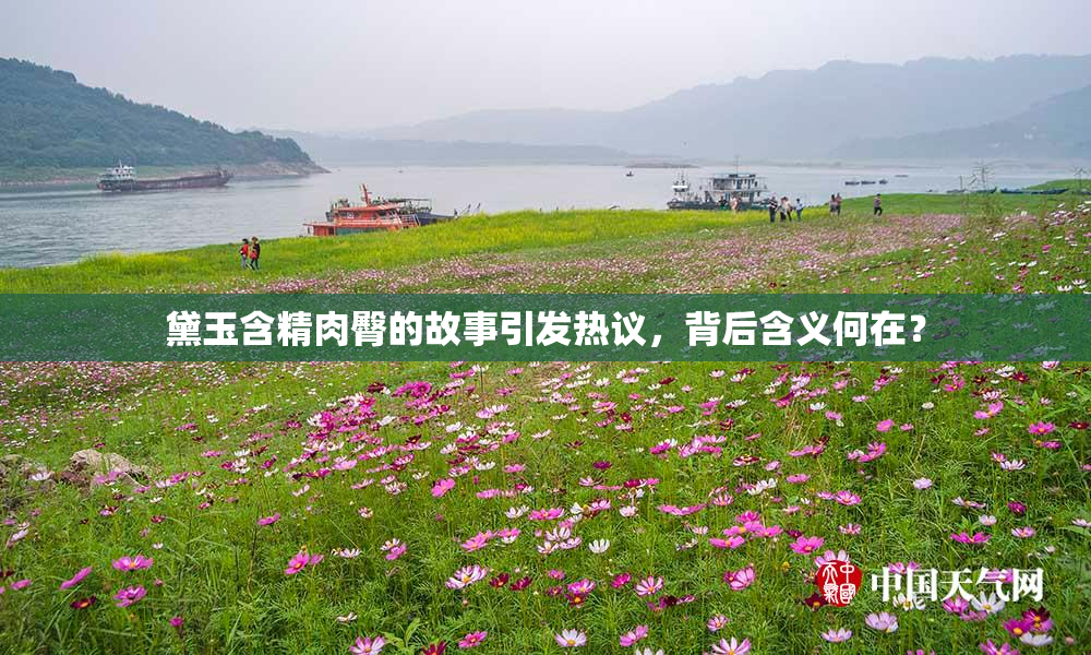 黛玉含精肉臀的故事引发热议，背后含义何在？