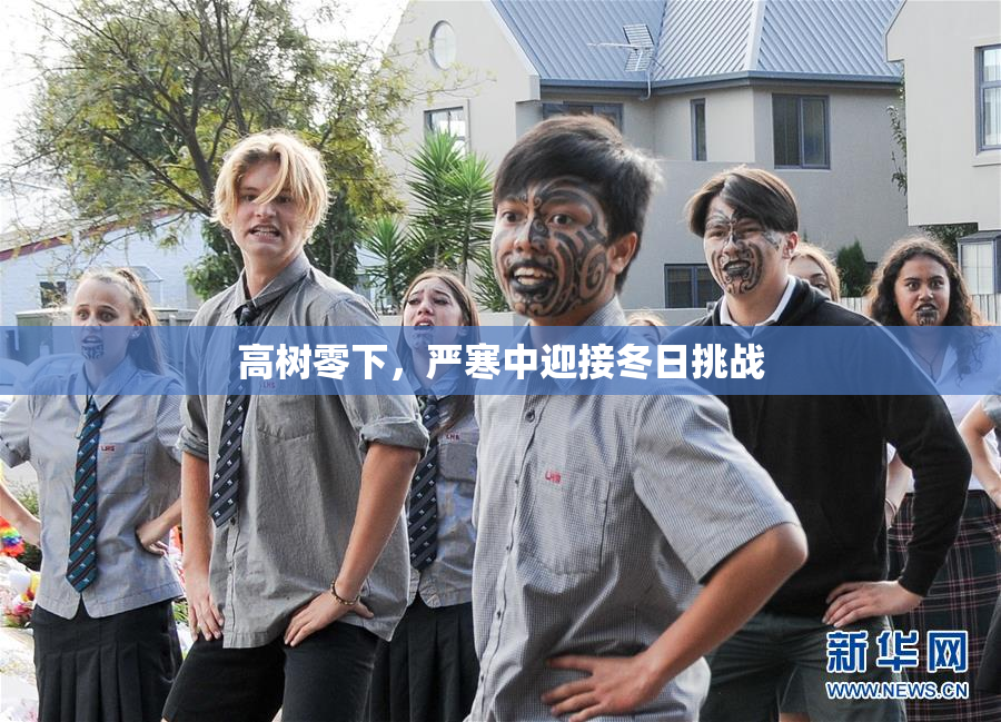 高树零下，严寒中迎接冬日挑战