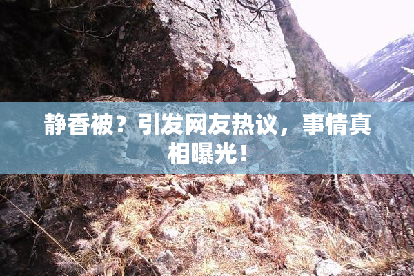 静香被？引发网友热议，事情真相曝光！