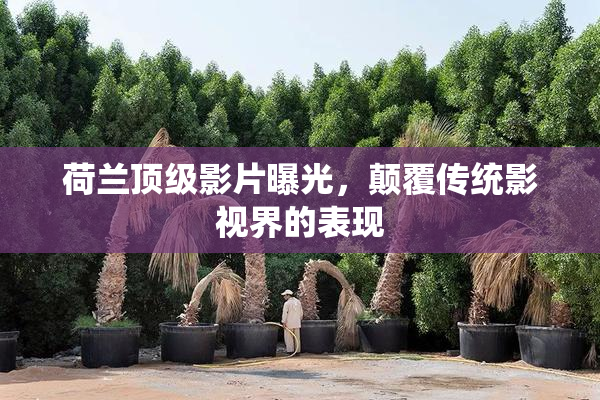 荷兰顶级影片曝光，颠覆传统影视界的表现