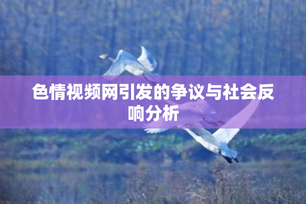 色情视频网引发的争议与社会反响分析