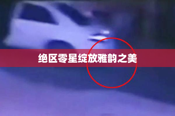 绝区零星绽放雅韵之美