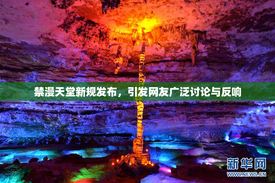 禁漫天堂新规发布，引发网友广泛讨论与反响
