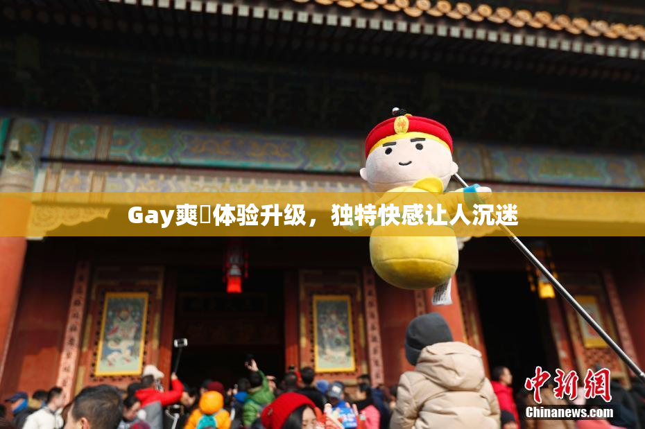 Gay爽擼体验升级，独特快感让人沉迷