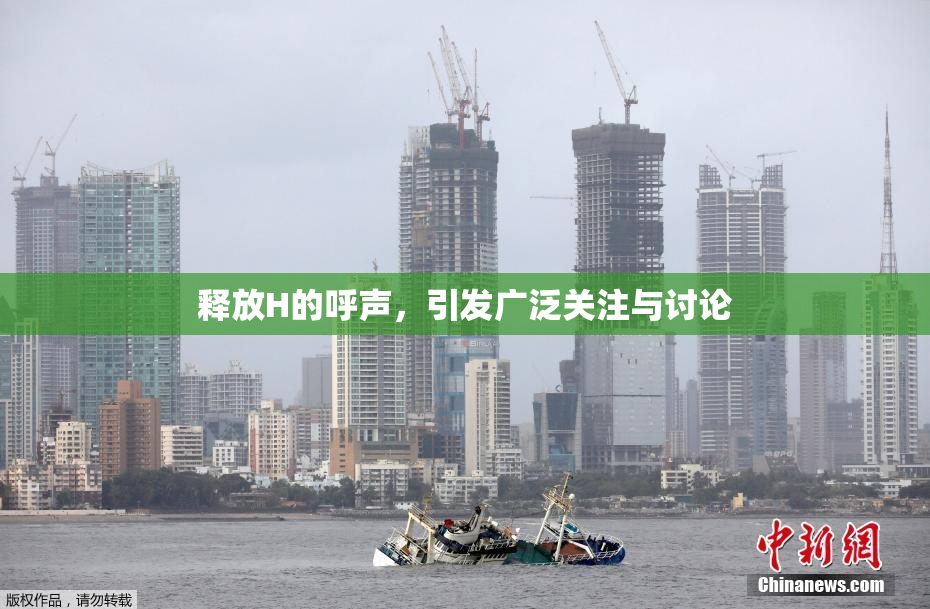 释放H的呼声，引发广泛关注与讨论