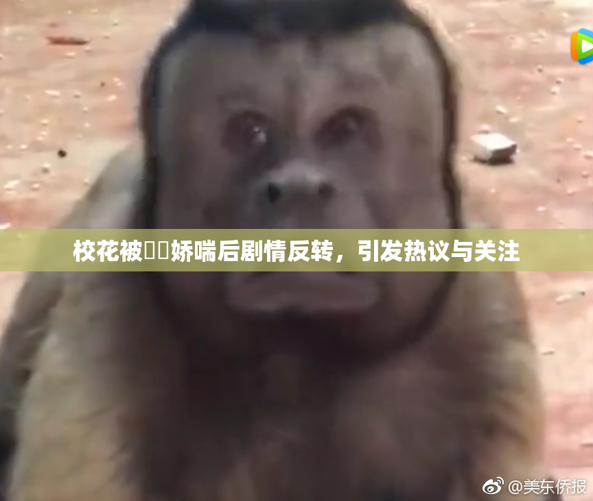 校花被❌‌娇喘后剧情反转，引发热议与关注
