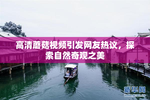 高清蘑菇视频引发网友热议，探索自然奇观之美