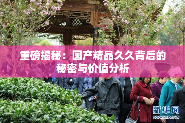 重磅揭秘：国产精品久久背后的秘密与价值分析