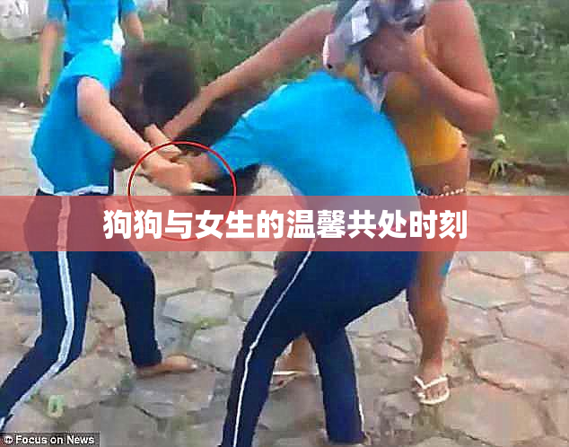 狗狗与女生的温馨共处时刻