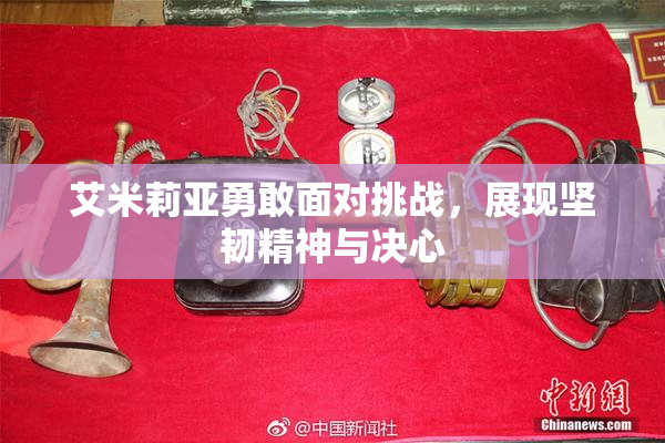 艾米莉亚勇敢面对挑战，展现坚韧精神与决心