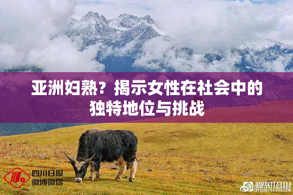 亚洲妇熟？揭示女性在社会中的独特地位与挑战