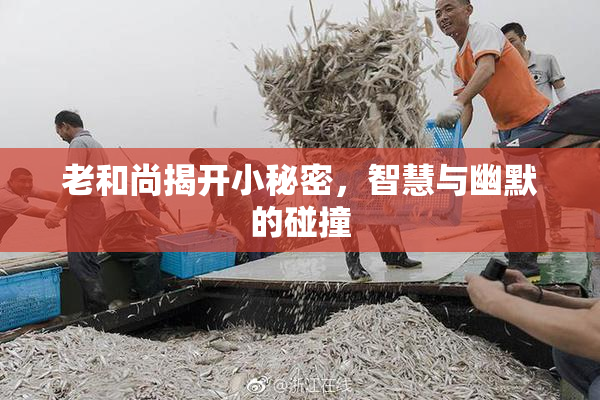 老和尚揭开小秘密，智慧与幽默的碰撞