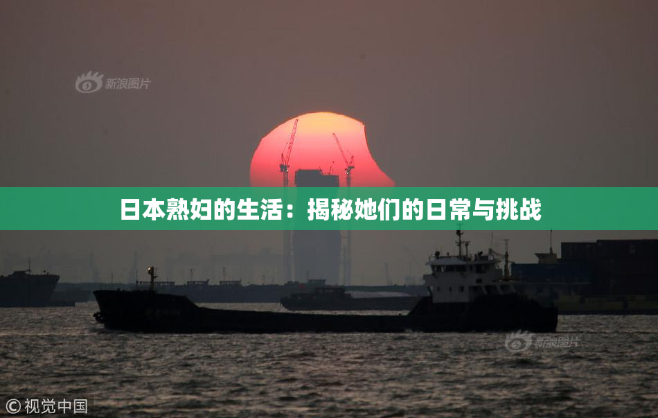 日本熟妇的生活：揭秘她们的日常与挑战