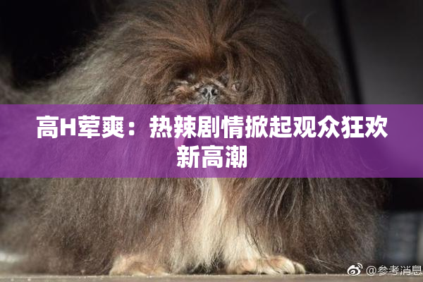 高H荤爽：热辣剧情掀起观众狂欢新高潮