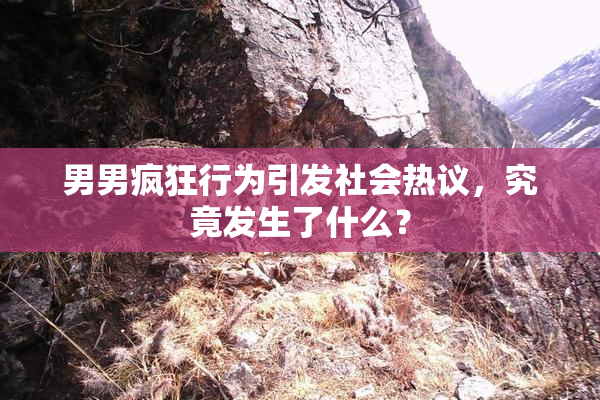 男男疯狂行为引发社会热议，究竟发生了什么？