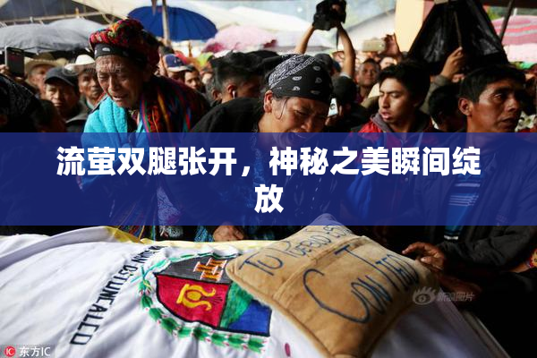 流萤双腿张开，神秘之美瞬间绽放