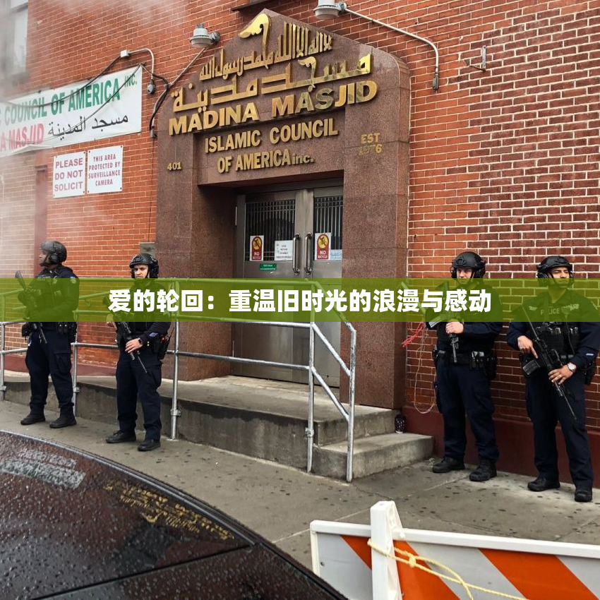 爱的轮回：重温旧时光的浪漫与感动