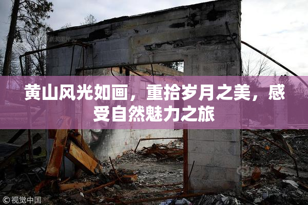 黄山风光如画，重拾岁月之美，感受自然魅力之旅