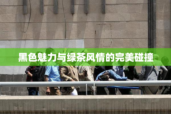 黑色魅力与绿茶风情的完美碰撞