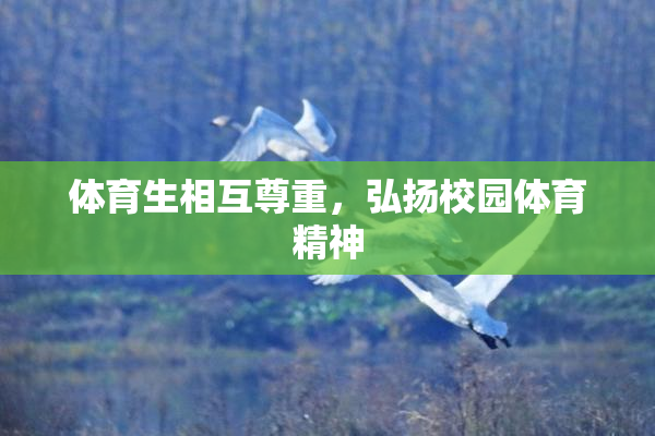体育生相互尊重，弘扬校园体育精神