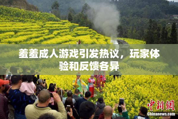 羞羞成人游戏引发热议，玩家体验和反馈各异