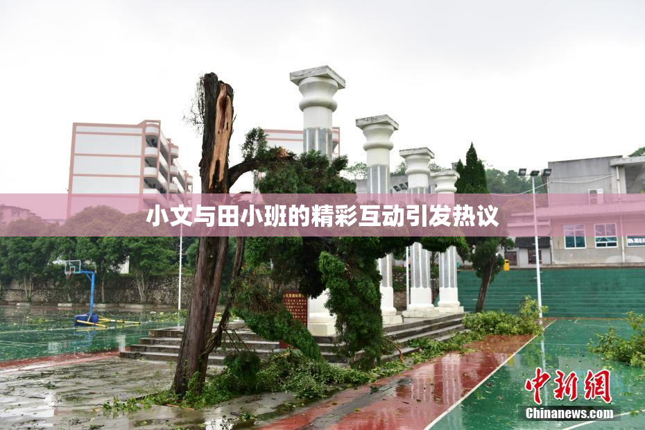 小文与田小班的精彩互动引发热议